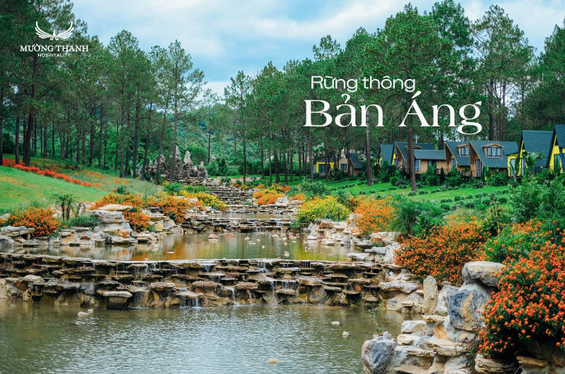 images/news/2025/02/original/rung-thong-ban-ang_1740388801.jpg