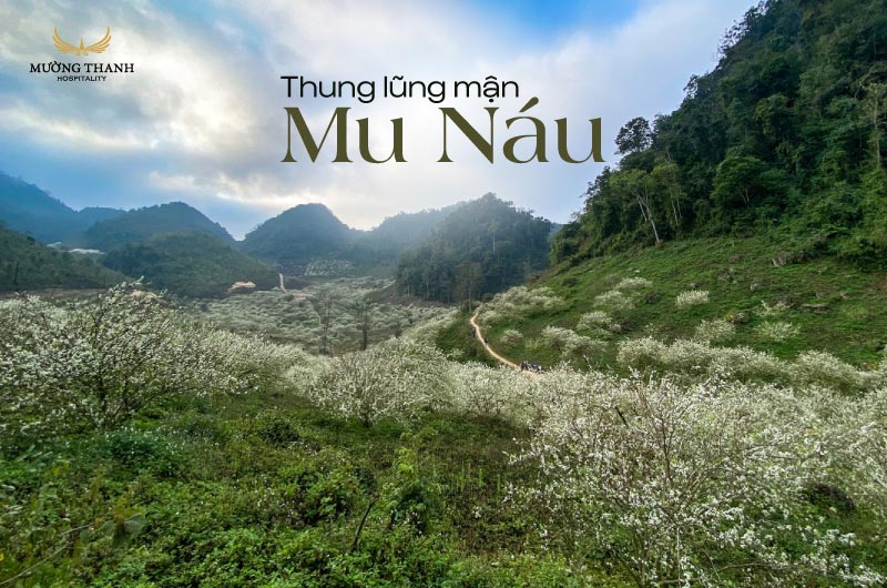 images/news/2025/02/original/thung-lung-man-mu-nau_1739934976.jpg